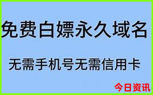 哪里可以看海鸥的旅游景点